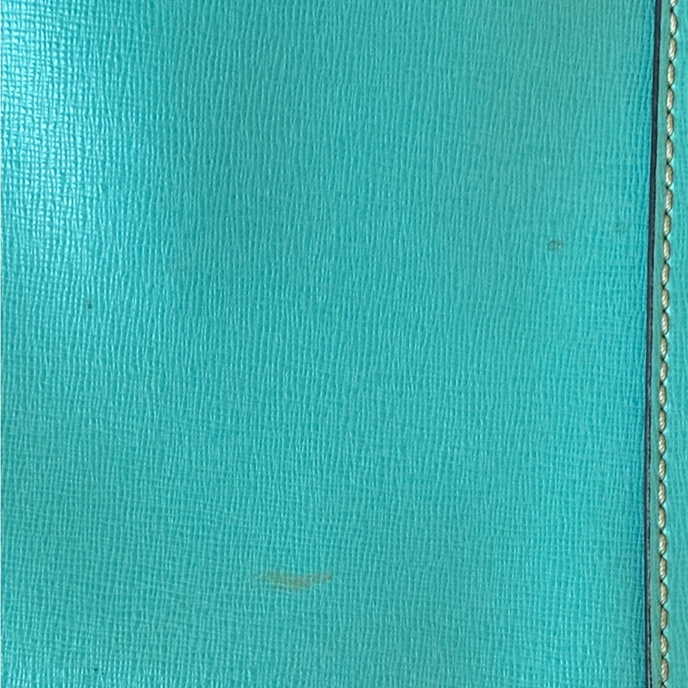 Dooney & Bourke Turquoise Leather Tote - Picture 11 of 16